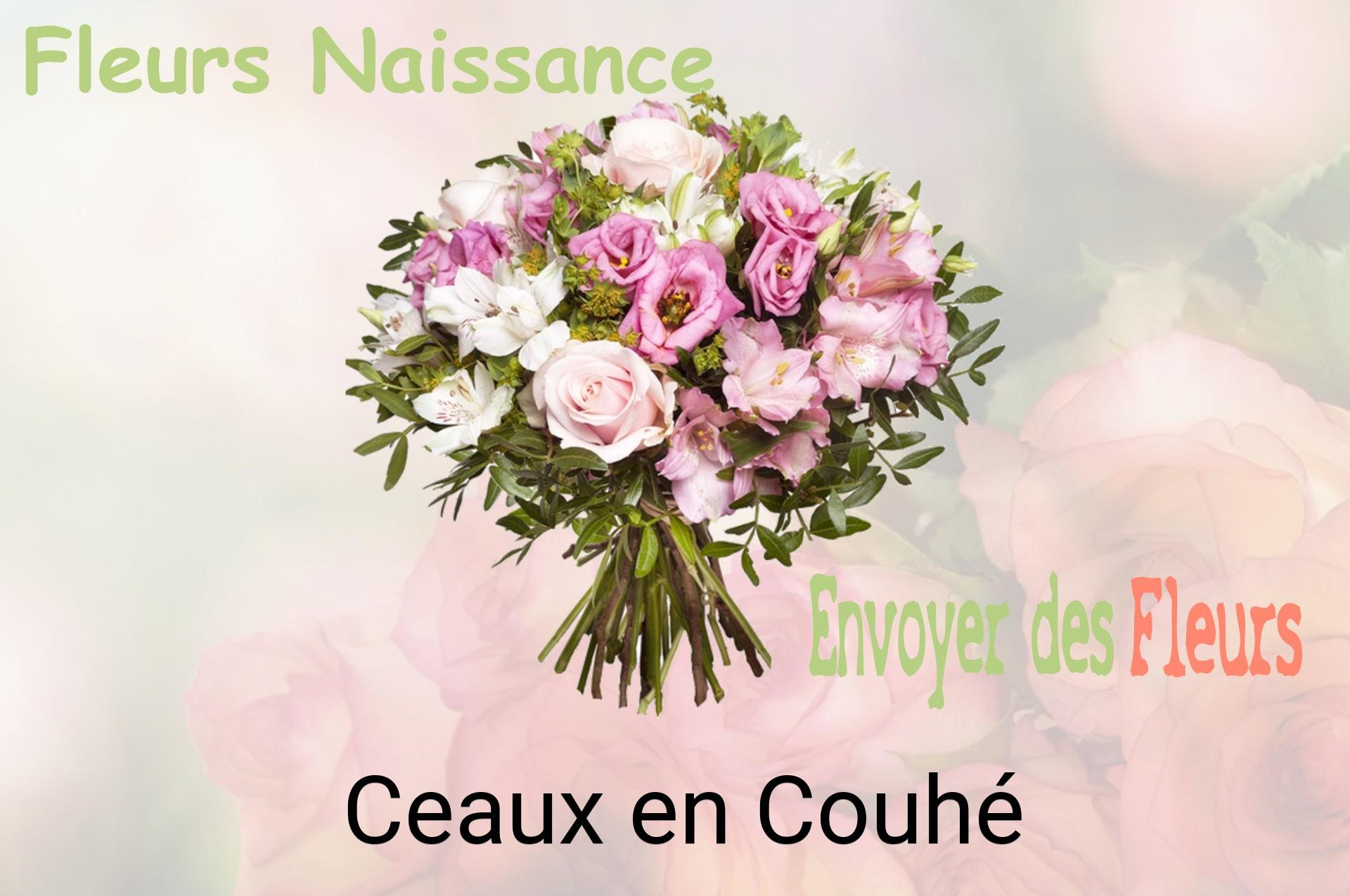 Bouquet de fleurs de naissance livré à Ceaux-en-Couhé