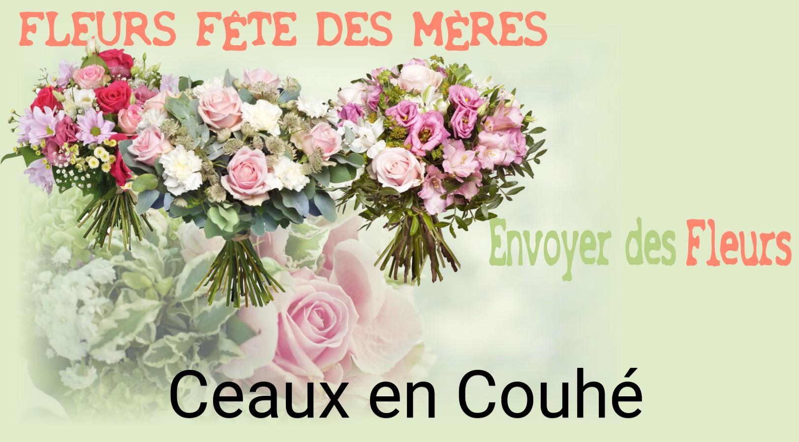 Bouquet de Fête des Mères livré à Ceaux-en-Couhé